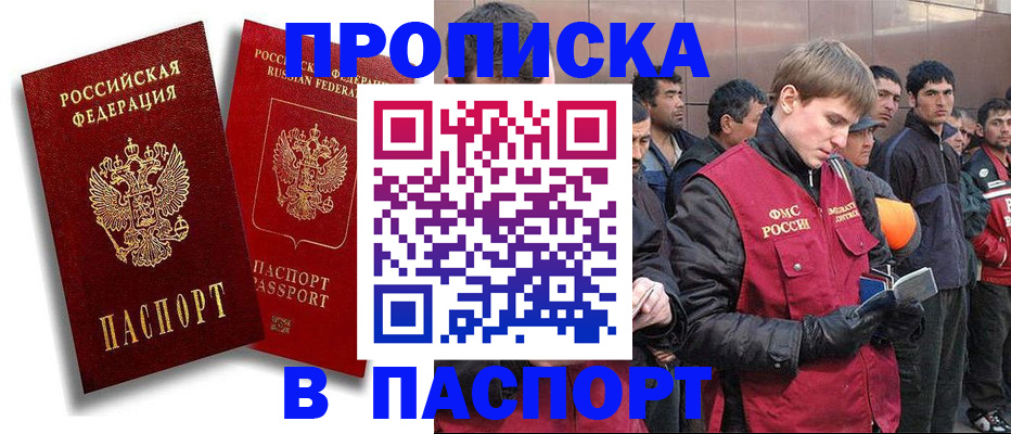 временная регистрация гарантия в Новосибирской области